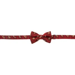 BOY Disney Abu Scattered Red Big Boy's Bow Tie