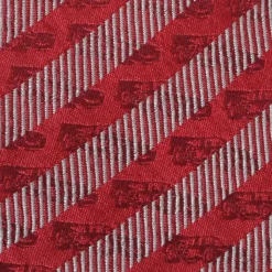 BOY Disney Cars Lightning McQueen Red Boys' Zipper Tie