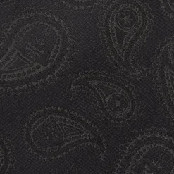 Star Wars Darth Vader Paisley Black Silk Men's Tie