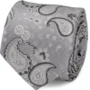 Ox and Bull Trading Co. Gray Paisley Men's Tie