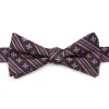Cufflinks, Inc. Mardi Gras Stripe Bow Tie