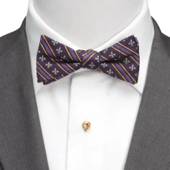 Cufflinks, Inc. Mardi Gras Stripe Bow Tie