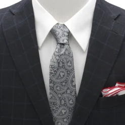 Disney Mickey Mouse Gray Paisley Mens Tie